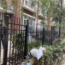 廠學(xué)校別墅庭院隔離 鋁藝圍墻 龍潮工匠精品護欄