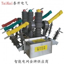 供應ZW32-12GG戶外雙電源全自動轉(zhuǎn)換真空斷路器